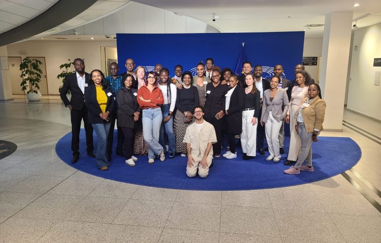 African Union Media Fellow at the European Union Parliament